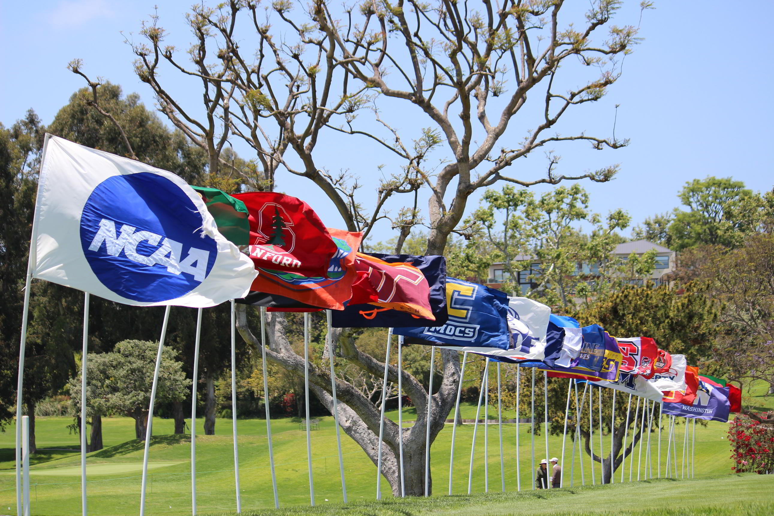NCAA DI School Flags
